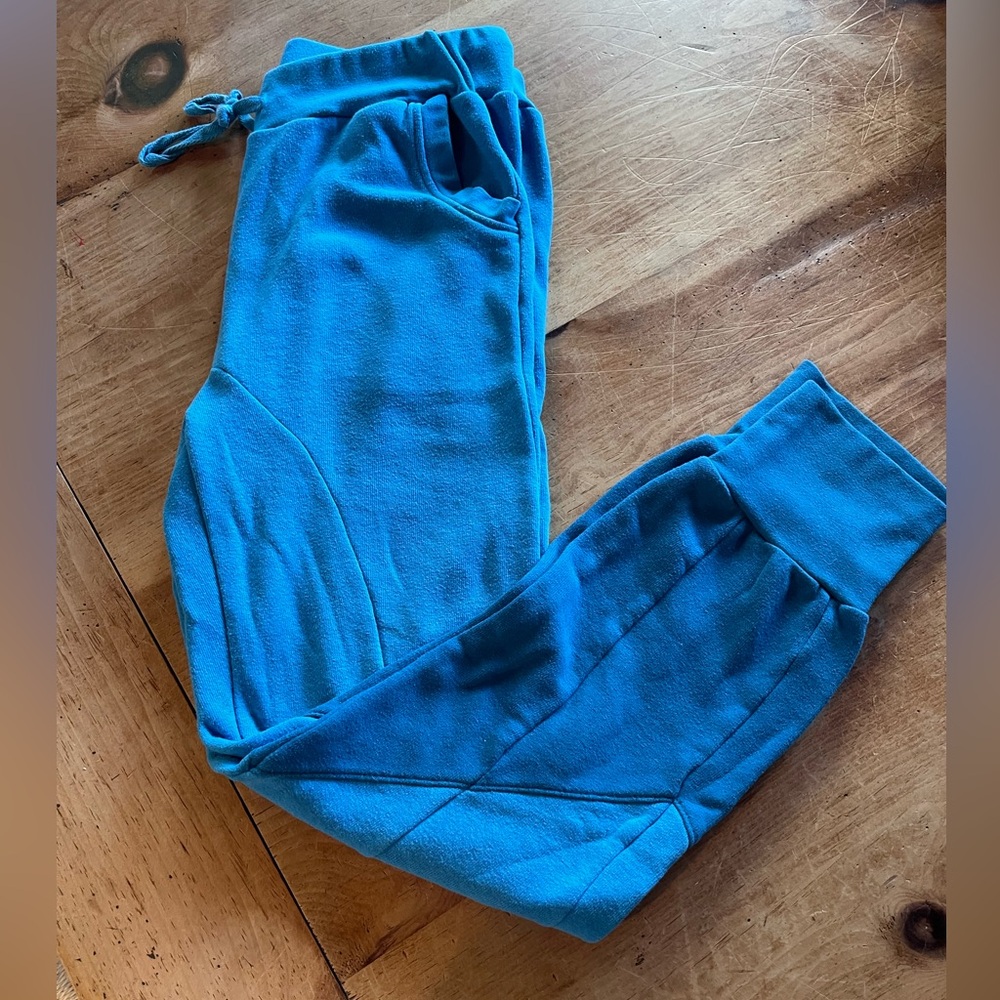Aviator Nation Blue Vintage Jogger Sweatpants